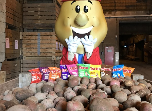 A Grand Prize for Crisp Lovers